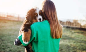 Etude de cas sur le gîte “Jamais sans mes Patounes” en Normandie par EmmeneTonChien