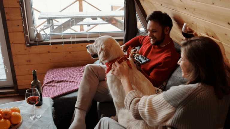 Hébergement touristique accueillant les chiens, mettant en avant une stratégie de location saisonnière ciblée pour maximiser la rentabilité malgré les restrictions imposées par la loi anti-Airbnb