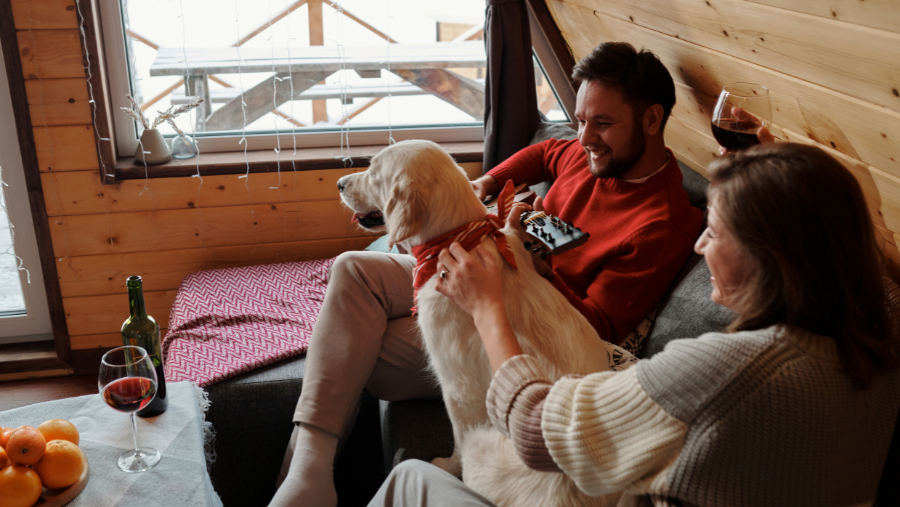 Hébergement touristique accueillant les chiens, mettant en avant une stratégie de location saisonnière ciblée pour maximiser la rentabilité malgré les restrictions imposées par la loi anti-Airbnb