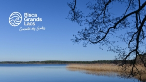 Office de tourisme : Bisca Grands Lacs pour un témoignage de la location “Les étoiles dans l’arbre