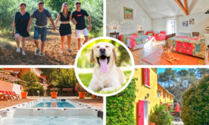Village de gites avec chiens acceptés