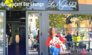 Chiens acceptés au restaurants et bars, chiens en restaurant