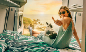 Un toutou heureux devant un office de tourisme souriant : label Destination QUALIDOG, qui récompense les destinations vraiment dog-friendly. Ici, on ne fait pas semblant d’aimer les chiens — on les accueille comme des VIP à quatre pattes, avec infos, bons plans et gamelles à dispo !