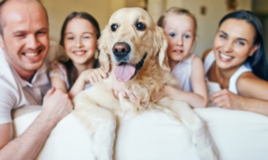 Chien avec une famille