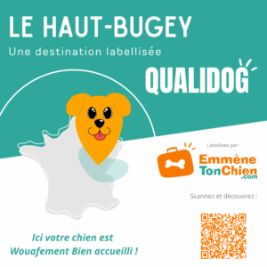 Plaquette pour le Haut bugey, label Destination QUALIDOG