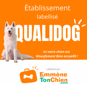 Tadaaam ! La plaque QUALIDOG est là pour le prouver : ici, c’est tapis rouge et gratouilles pour tous les chiens en vacances !