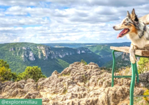 Millau avec son chien - Millau destination dog-friendly - EmmeneTonChien_com