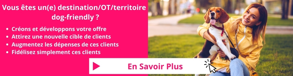 Pro - banniere Inst du TOURISME