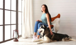 hotel chien accepte - accueillir les chiens dans son hotel - accueillie chien hotel