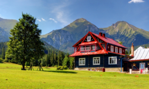 gite chien accepte - gite chien admis