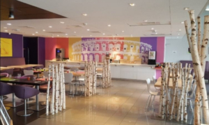 Hôtel dogfriendly Ibis Styles de Nîmes Centre Gare