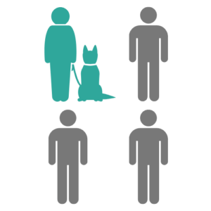 1 foyer sur 4 a un chien en France