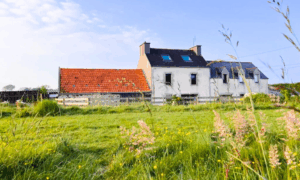 Gite Maison Kidour - dog-friendly