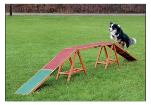 parcours d'agility pour chien pour parc canin Morin