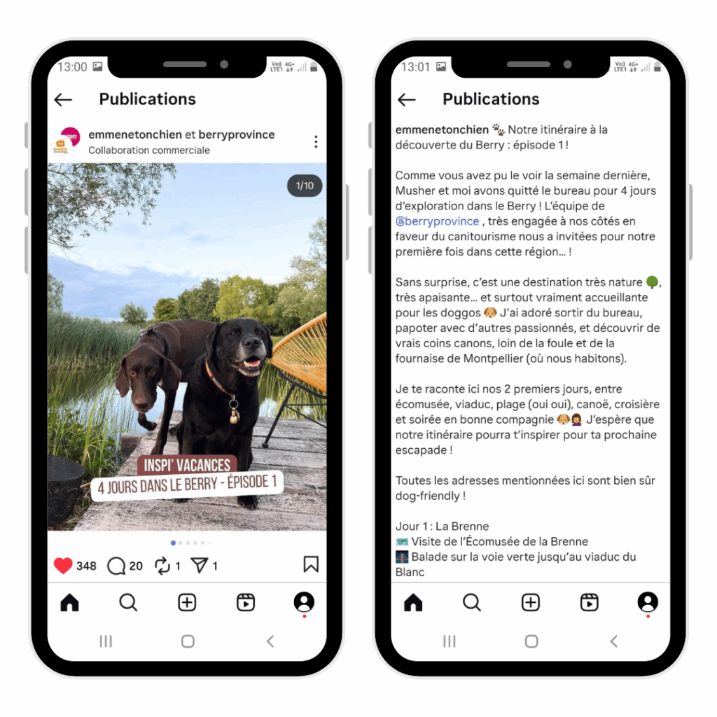publication facebook et instagram sur un réseau pour les vacances avec son chien - roadbook de Musher et Sophie dans le Berry