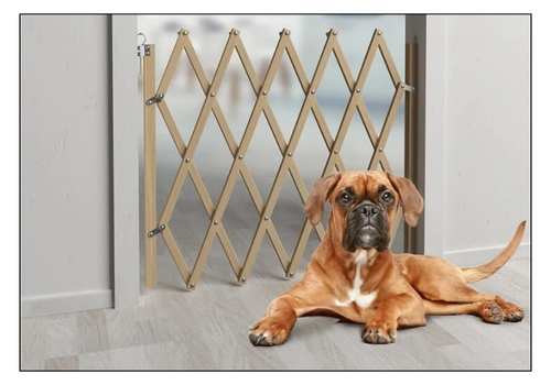 sécuriser son gîte hôtel camping pour les clients avec chien