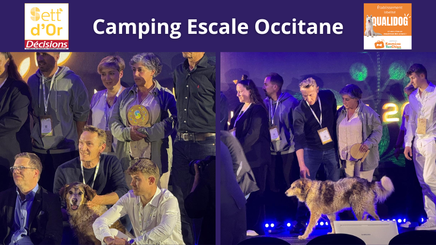 Sett d'or - escale occitane - camping qualidog