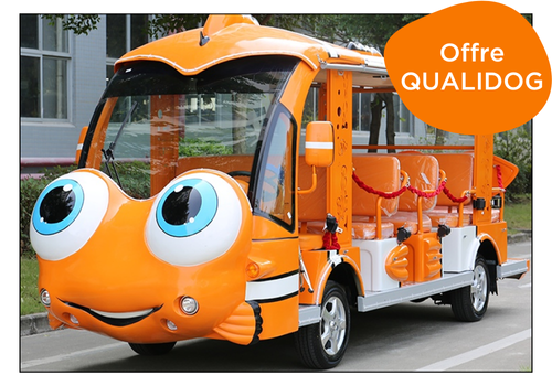 bubber move minibus électrique pour campings et villages vacances