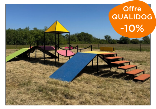 conception d'aire de jeux canine sur-mesure pour terrain Canidéfit