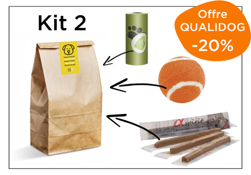 kit d'accueil personnalisable pour chien professionnels du tourisme little box