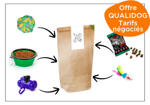 kit d'accueil personnalisable pour chien professionnels du tourisme little box (2)