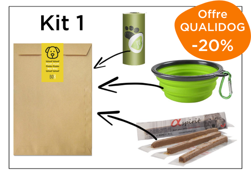 kit d'accueil pour chien professionnels du tourisme little box