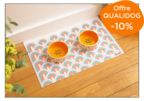 Kit gamelles et tapis pour chien et chat French Bandit boutique professionnelle