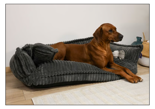 paniers confortables pour chien Zolia Happlace Gris sur zoomalia