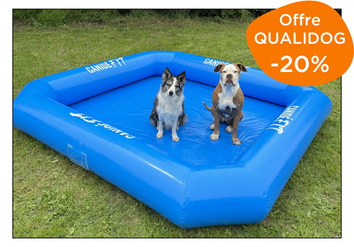 petite piscine pour chien pour jardin Canidéfit