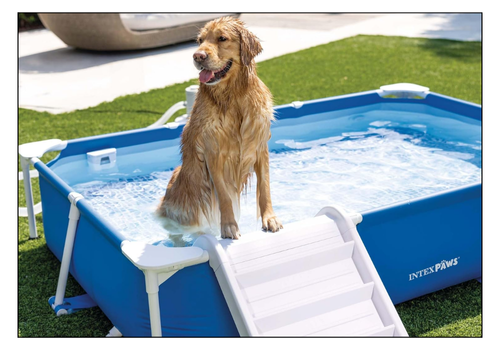 piscine pour chien avec rampe et hors-sol INTEX