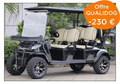 voiturette électrique bubber move luxe