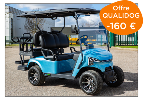 voiturette électrique bubber move