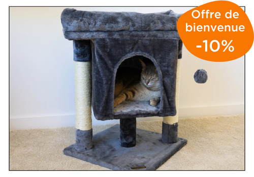 arbres à chat zoomalia pour équiper sa location de vacances pet-friendly