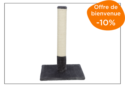 griffoir pour chat zoomalia pour accueil des touristes avec chat