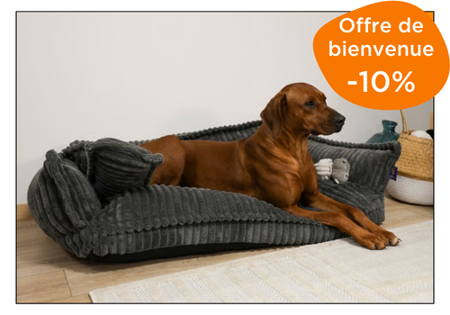 paniers confortables pour chien Zolia Happlace Gris sur zoomalia