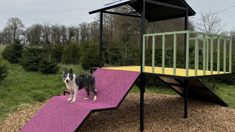 parc canin pour chien - canidéfit
