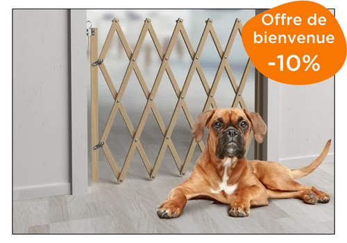 sécuriser son gîte hôtel camping pour les clients avec chien zoomalia