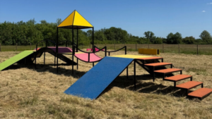 parc canin pour chien - canidéfit