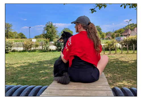 PatchGuard dogsitting pour les campings
