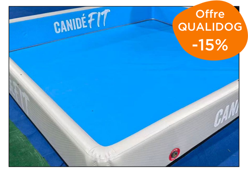 petite piscine de nage pour chien compatible filtration Canidéfit