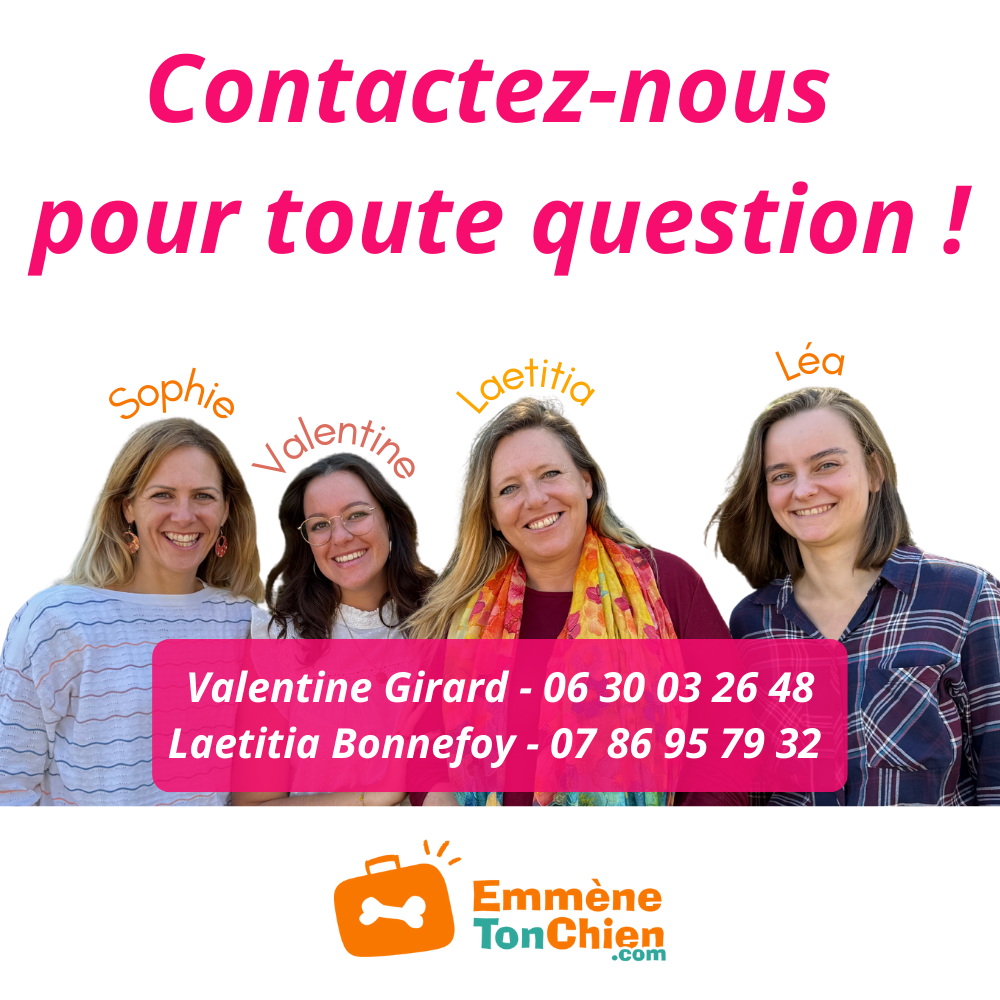 EmmeneTonChien.com - notre équipe à votre service