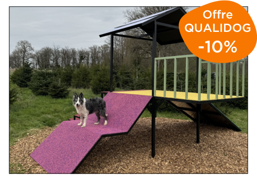 conception d'aire de jeux canine sur-mesure pour terrain Canidéfit