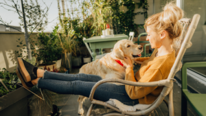 label qualidog - chien en vacances