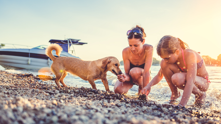 chien plage femme enfant