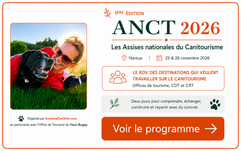 popup ANCT2026