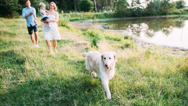 famille en vacances avec son chien