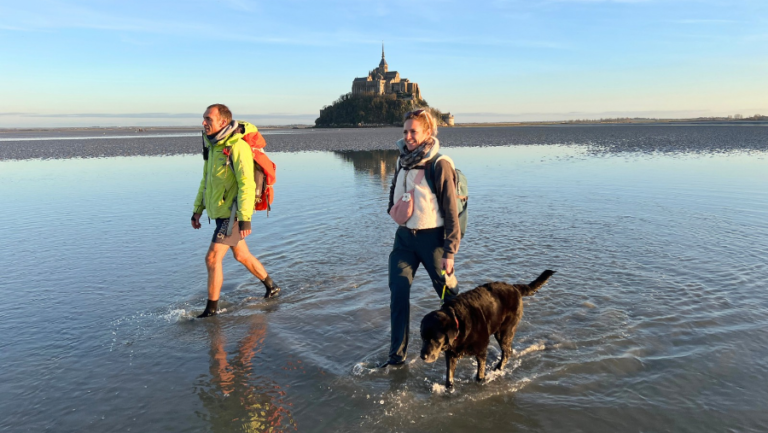 labels manche - qualidog
